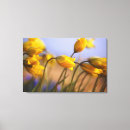 Suche nach nahaufnahme leinwandbilder Blume