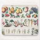 Suche nach vintage botanische mousepads Obst