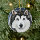 Suche nach alaskan malamute ornamente Zäh