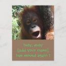 Suche nach lustige mitteilung einladungen Niedlich