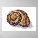 Suche nach schnecken poster Aquarell