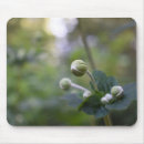 Suche nach florenz mousepads Blume