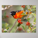 Suche nach lebensraum poster Usa