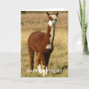 Suche nach alpaca karten Tier