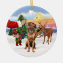 Suche nach rhodesian ridgeback hund ornamente Hunde