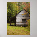 Suche nach autumn forest poster Tree