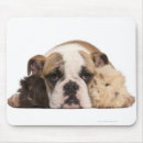 Suche nach zwei tiere mousepads Natur