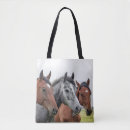 Suche nach graues pferd taschen Pferde