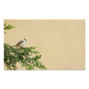 Suche nach spatz poster Tiere