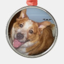 Suche nach glücklicher hund ornamente Jede person