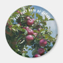 Suche nach roter apfel magnete Für sie