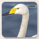 Suche nach schnabel untersetzer Vögel