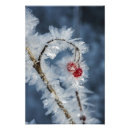 Suche nach rote beeren poster Urlaub