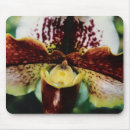 Suche nach tropische pflanzen mousepads Orchideen
