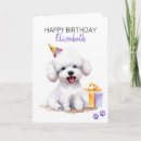 Suche nach bichon frise geburtstag karten Hund