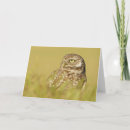 Suche nach profil alle karten Vögel
