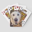 Suche nach golden retriever spielzeug spiele Welpen