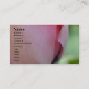 Suche nach glück visitenkarten Liebe