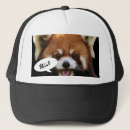 Suche nach roter panda kappen China