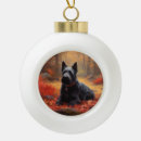 Suche nach schottisch ornamente Haustier