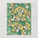 Suche nach blühende orchideen postkarten Für alle