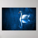 Suche nach floating poster Natur