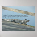 Suche nach alligator poster Tiere