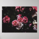 Suche nach dunkle rose poster Gotisch