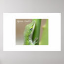Suche nach chamaeleon poster Grün