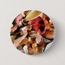 Suche nach getrocknet buttons Natur