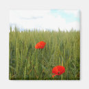 Suche nach weizen magnete Für alle