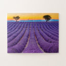 Suche nach valensole Felder