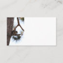 Suche nach eichhörnchen visitenkarten Natur