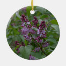 Suche nach flieder ornamente Lila