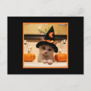 Suche nach beängstigende katze postkarten Glücklich