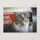 Suche nach nähen postkarten Tiere