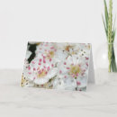 Suche nach beltane karten Blume