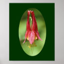 Suche nach wilde blumen poster Mutter