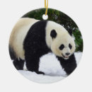 Suche nach vom zoo ornamente Schnee