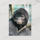 Suche nach monkey visitenkarten Affe
