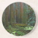Suche nach national park untersetzer Wald