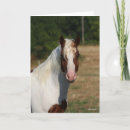 Suche nach haflinger karten Pferd