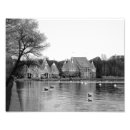 Suche nach schwarze ente poster See