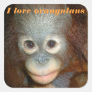 Suche nach orang utan aufkleber Affe