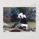 Suche nach lehrer abschlusskarten Glückwünsche