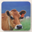 Suche nach vieh untersetzer Kuh