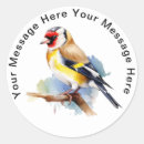 Suche nach goldfinches aufkleber Vogelaufkleber