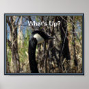 Suche nach gans poster Jede person