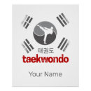Suche nach taekwondo poster Tkd