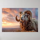 Suche nach ram poster Tier